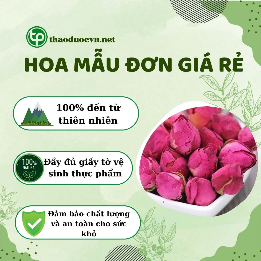 Tấn Phát là địa chỉ bán hoa mẫu đơn giá rẻ tại HCM