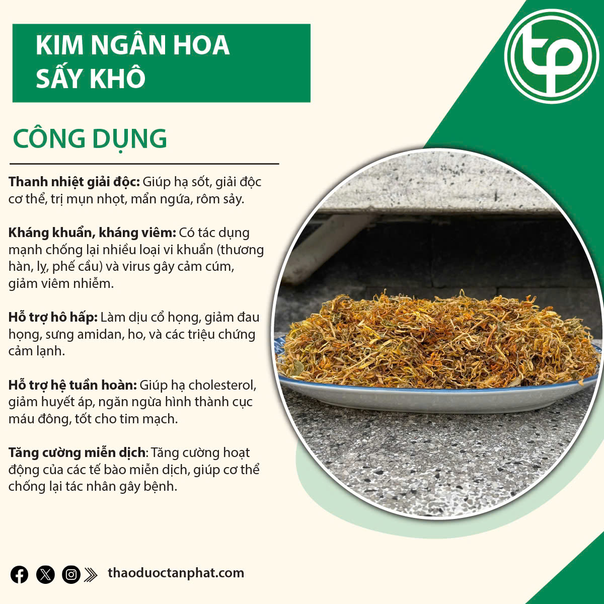 Kim ngân hoa của thảo dược Tấn Phát