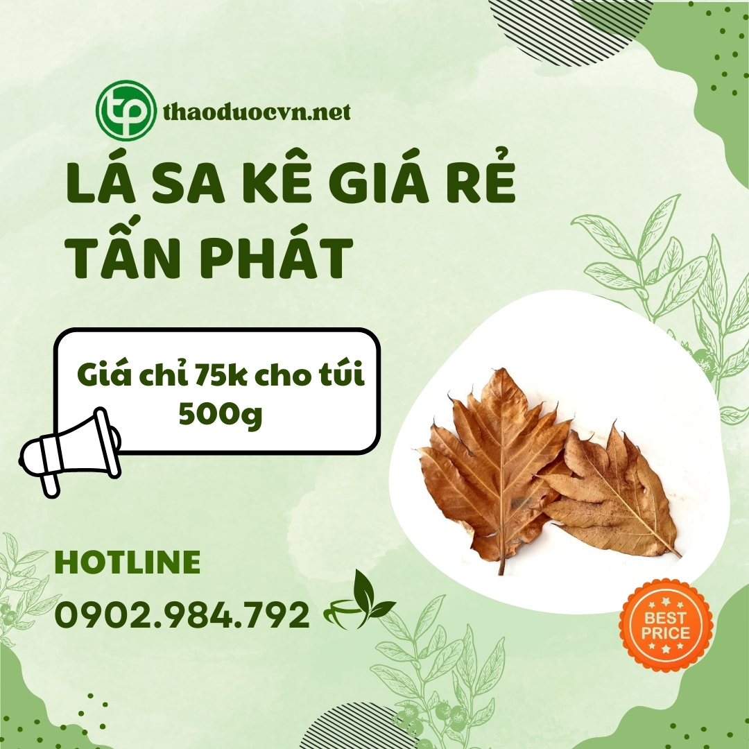 Sản phẩm lá sa kê giá rẻ tại TP.HCM