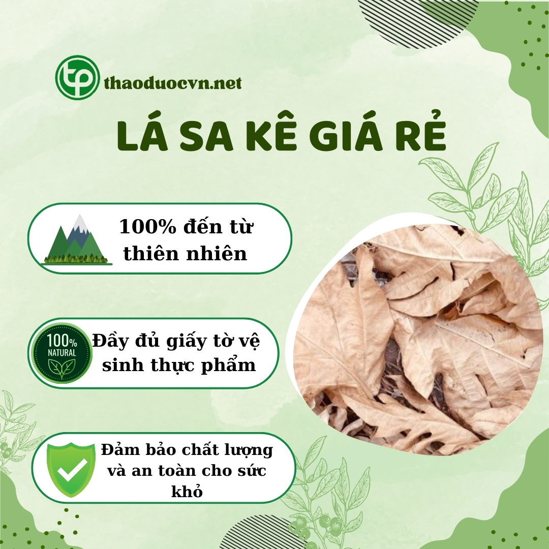 Cam kết khi mua lá sa kê giá rẻ tại Tấn Phát