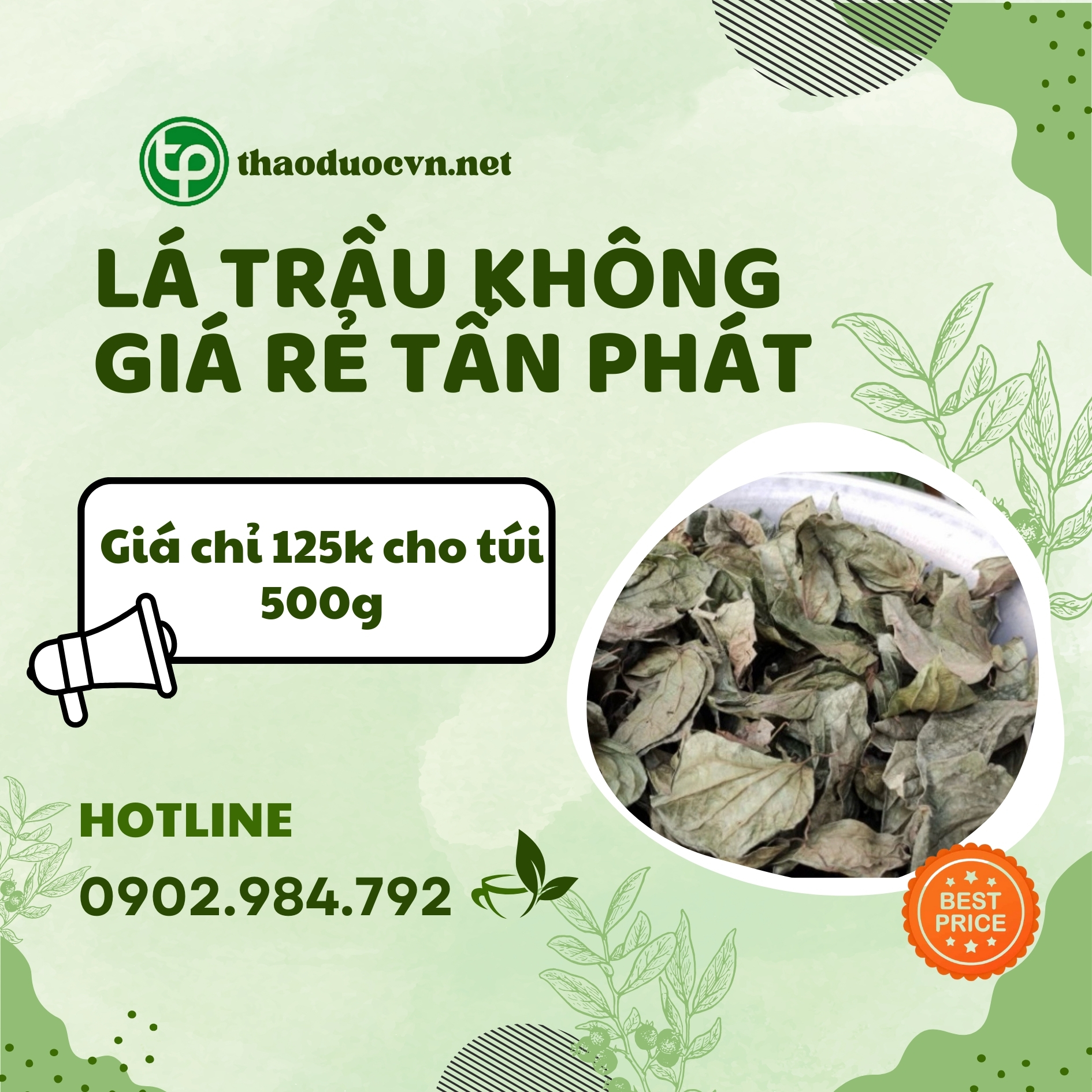 Mua lá trầu không khô giá rẻ tại TP.HCM