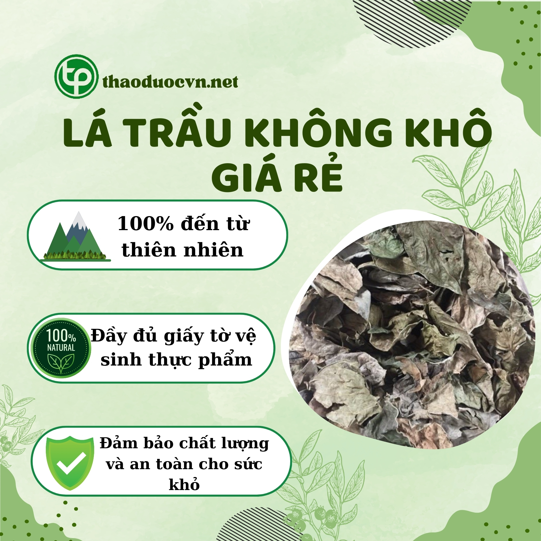 Cam kết khi mau lá trầu không khô giá rẻ Tấn Phát