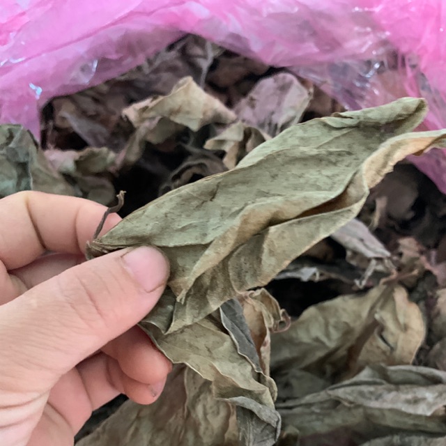 Mua lá trầu không tại TP.HCM