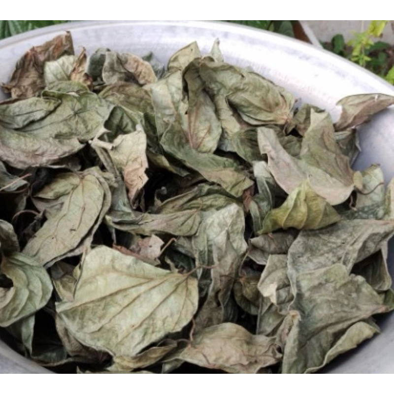 Nơi nào bán lá trầu không khô ?