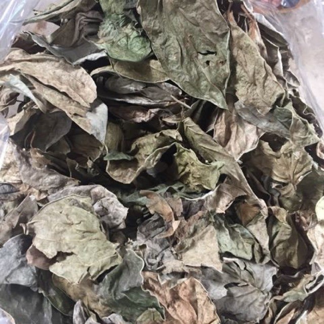 Lá trầu không tại HCM