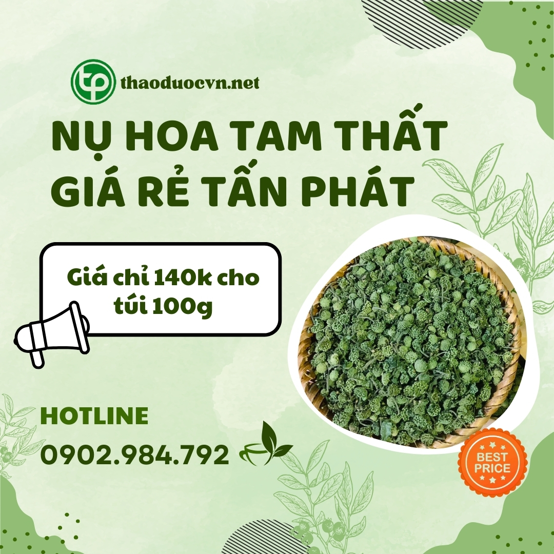 Sản phẩm nụ hoa tam thất giá rẻ ở HCM