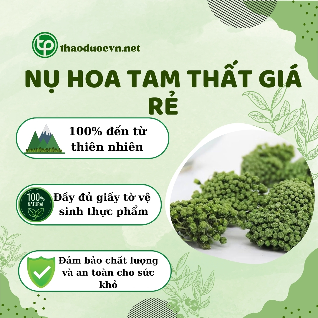 Tấn Phát là địa chỉ bán nụ hoa tam thất gái rẻ tại TP.HCM