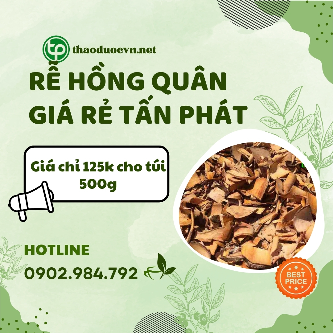 Mua rễ hồng quân giá rẻ tại HCM