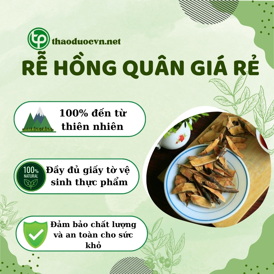 Cam kết mua rễ hồng quân giá rẻ tại Tấn Phát