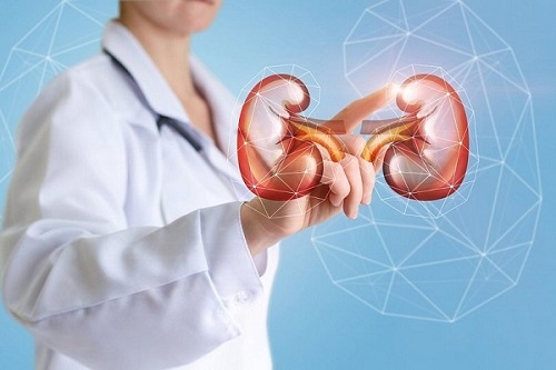 Vì sao sơn thù du tại TP.HCM giúp bổ thận tráng dương ?