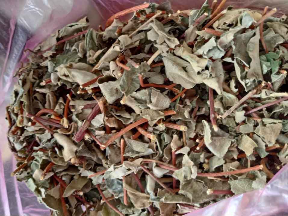 Thân lá hà thủ ô khô chất lượng cao
