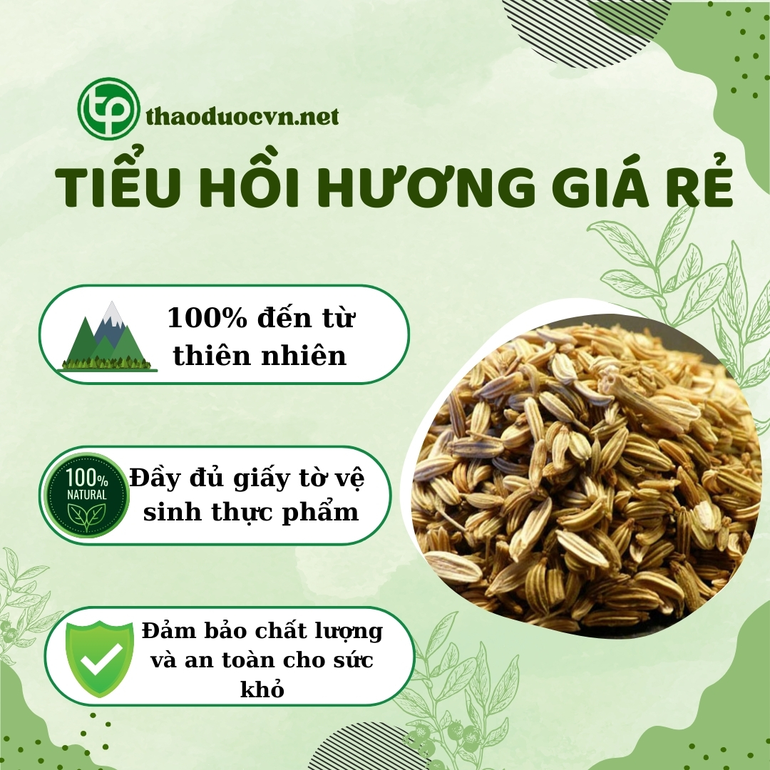 Tấn Phát là địa chỉ bán tiểu hồi hương giá rẻ tại TP.HCM