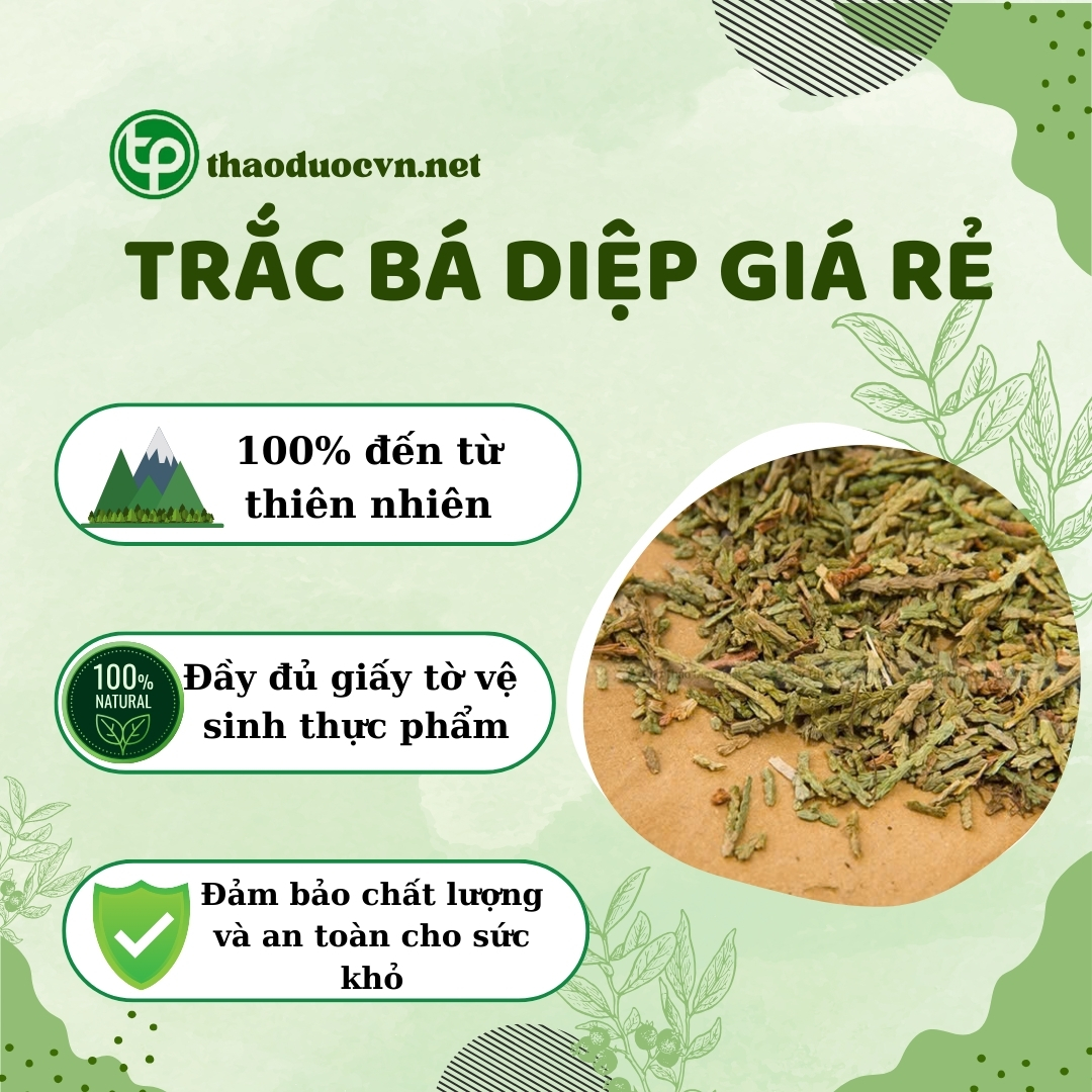 Cam kết khi mua trắc bá diệp giá rẻ tại Tấn Phát