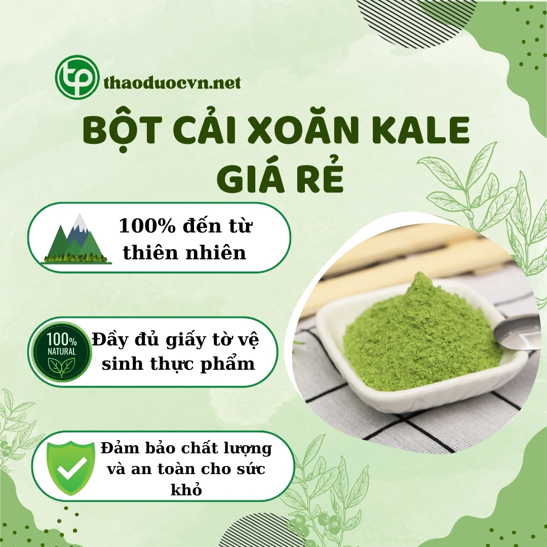 Tấn Phát là địa chỉ bán bột cải xoăn Kale giá rẻ tại TP.HCM uy tín
