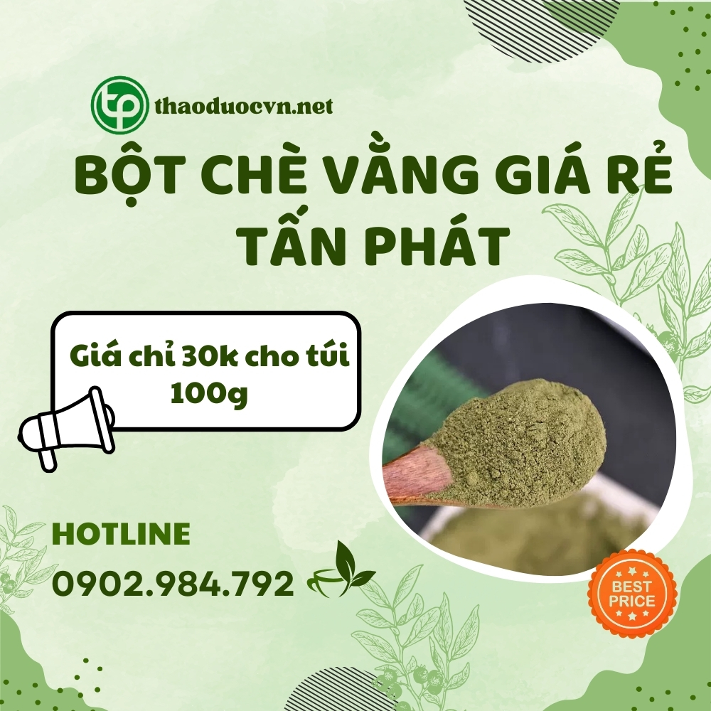 Mua bột chè vằng giá rẻ tại HCM