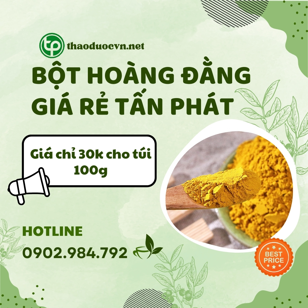 Mua bột hoàng đằng giá rẻ tại HCM
