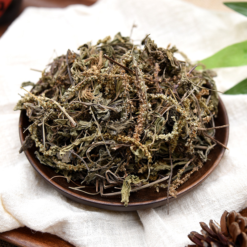 Đâu là những người không nên dùng mã đề