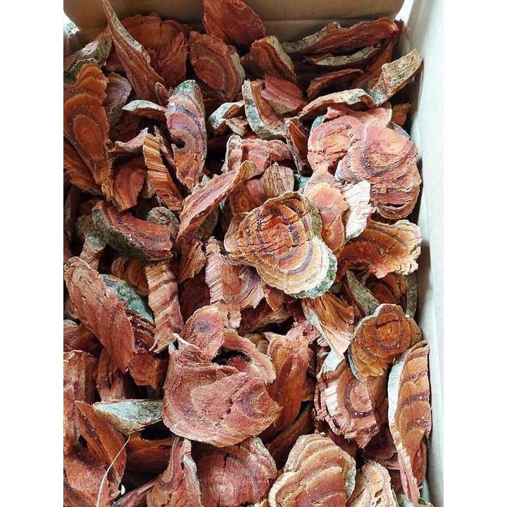 Lý do uống cỏ máu gây nóng gan là gì ?