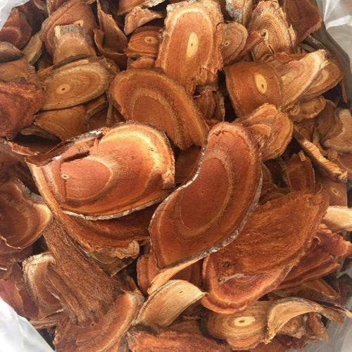 Bảo quản cỏ máu trong túi kín