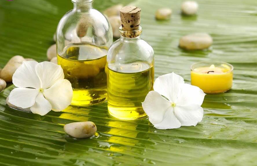 Cam kết mua dầu mù u giá rẻ tại Tấn Phát