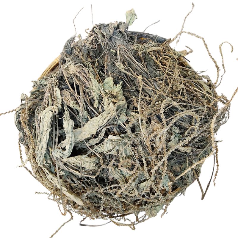 Lợi ích của mã đề cho trẻ em
