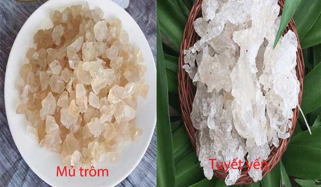 Lưu ý khi chọn mua mủ trôm và tuyết yến