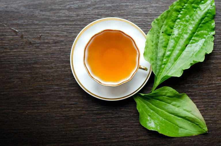 Nước mã đề có gây loãng máu không ?