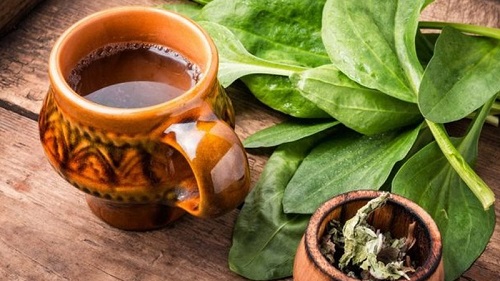 Liều dùng mã đề an toàn cho trẻ em