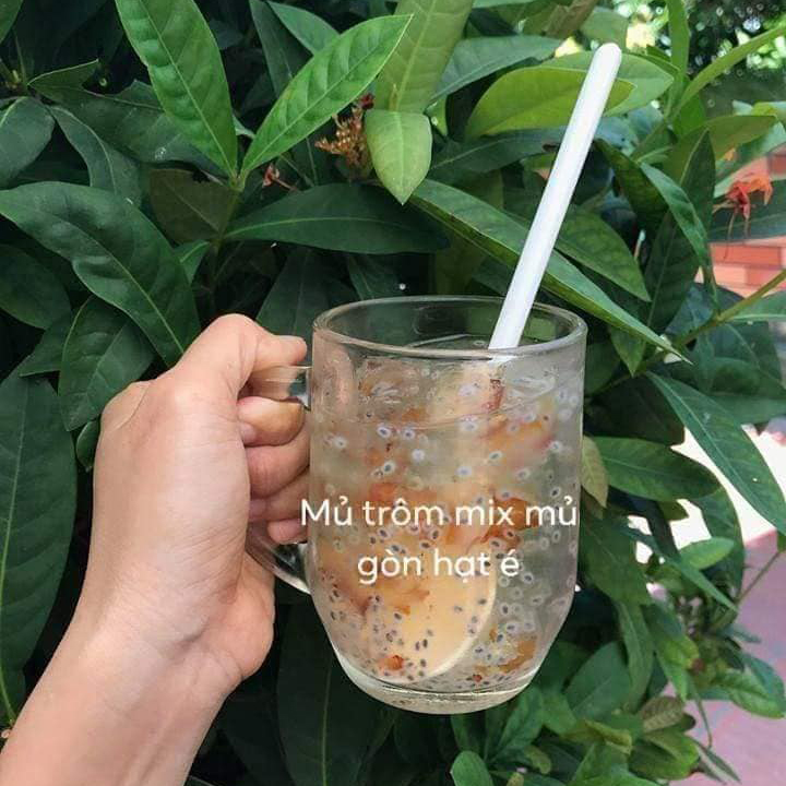Tác dụng của nước mủ trôm và mủ gòn