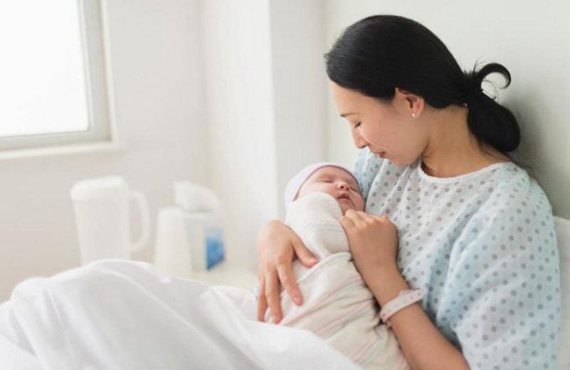 Cỏ máu cho phụ nữ sau sinh