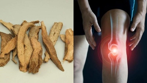 Nước sắc thiên niên kiện trị thoái hóa khớp