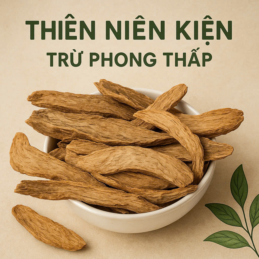 Thiên niên kiện giá rẻ tại TP.HCM trừ phong thấp