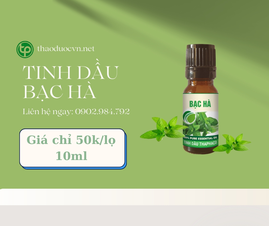 Mua tinh dầu bạc hà giá rẻ tại HCM