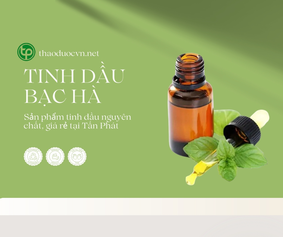 Tấn Phát là địa chỉ bán tinh dầu bạc hà giá rẻ tại TP.HCM