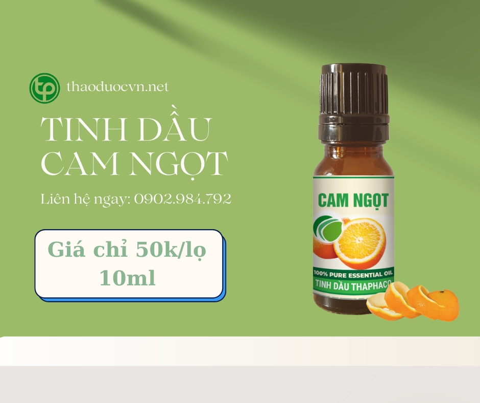 Mua tinh dầu cam ngọt giá rẻ tại HCM