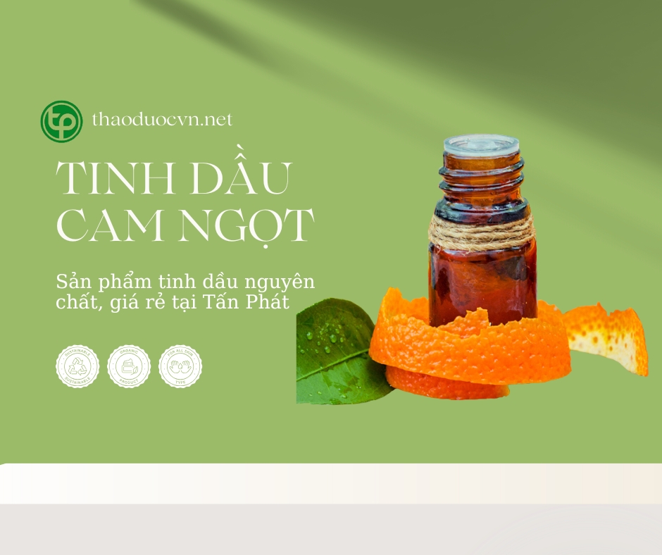 Tấn Phát là địa chỉ bán tinh dầu cam ngọt giá rẻ tại TP.HCM uy tín