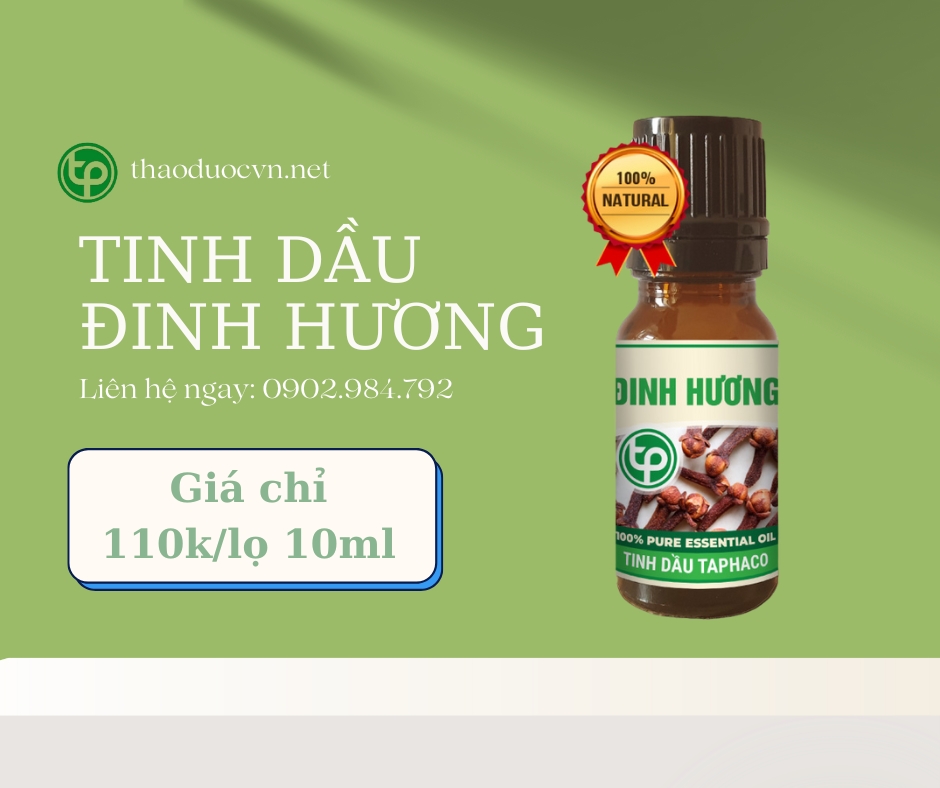 Mua tinh dầu đinh hương giá rẻ tại HCM
