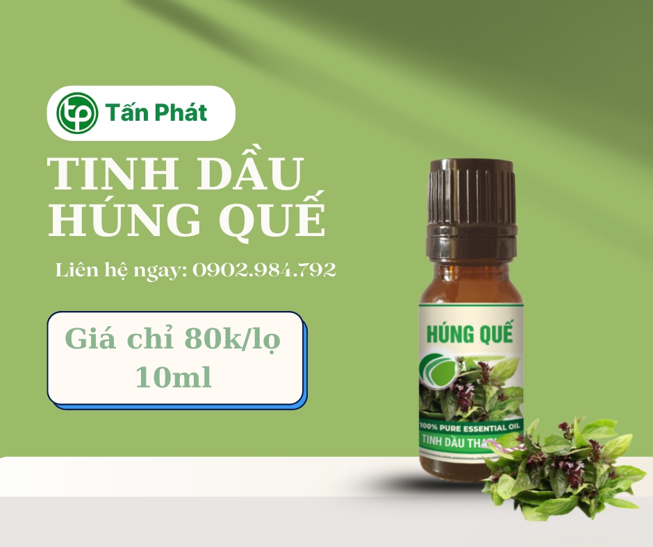 Mua tinh dầu húng quế giá rẻ tại HCM
