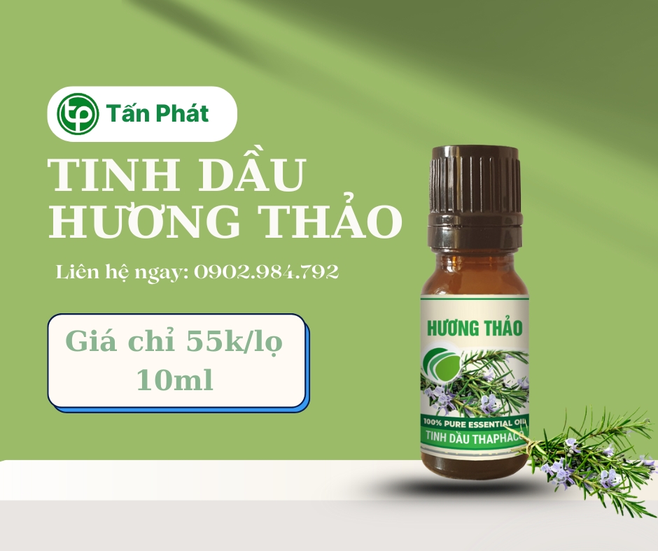 Mua tinh dầu hương thảo giá rẻ tại HCM