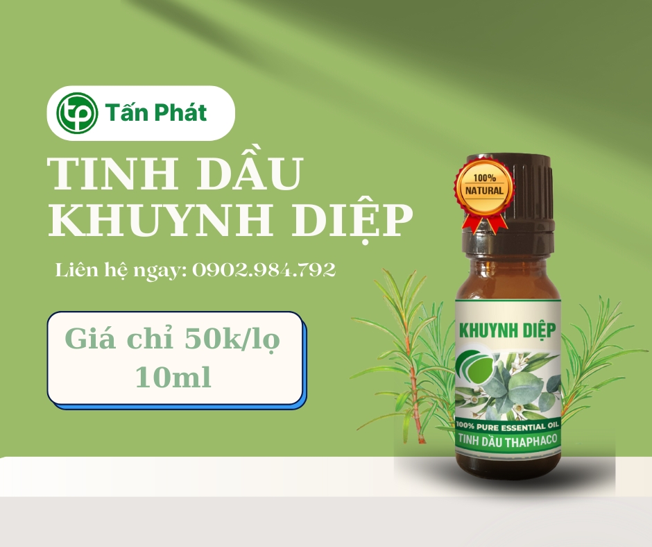 Mua tinh dầu khuynh diệp giá rẻ tại HCM