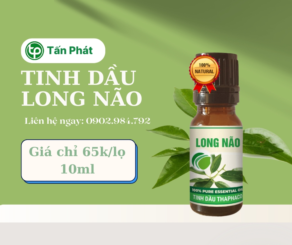 Mua tinh dầu long não giá rẻ tại HCM