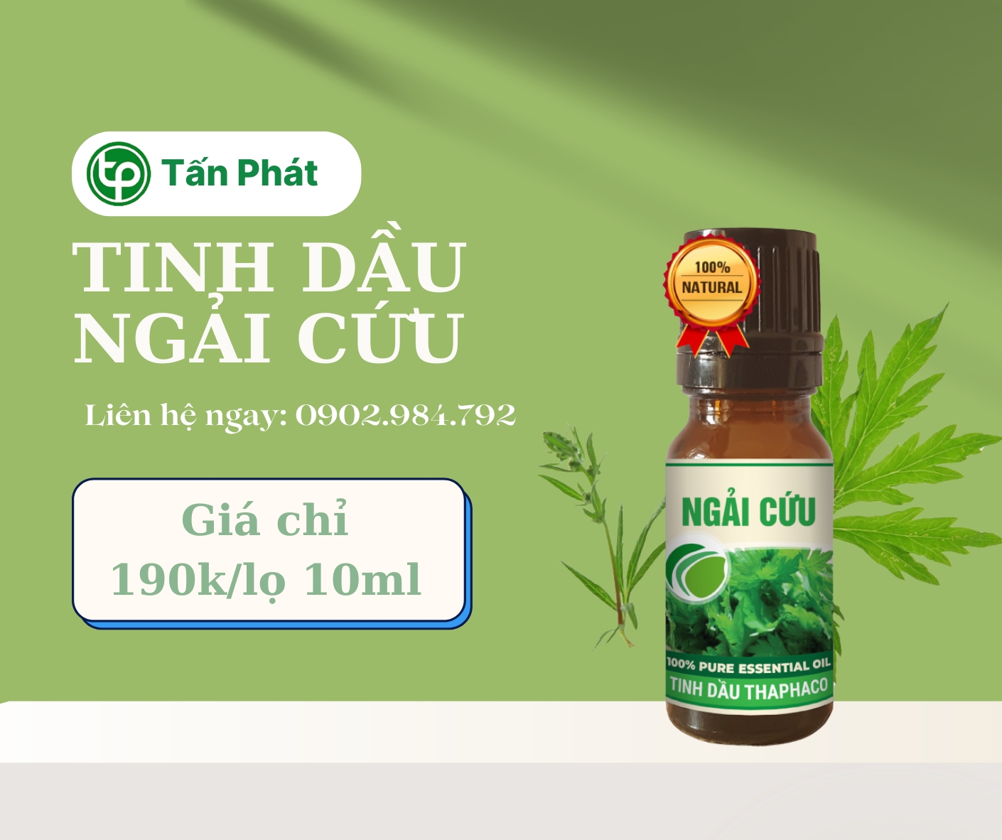 Mua tinh dầu ngải cứu giá rẻ tại HCM