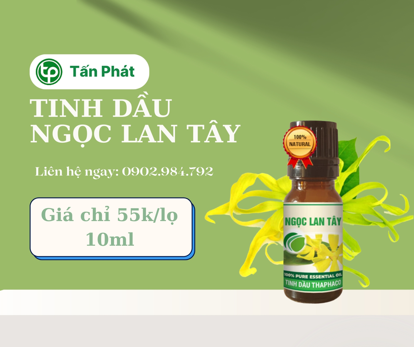 Mua tinh dầu ngọc lan tây giá rẻ tại HCM