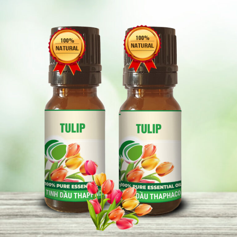 Sản phẩm tinh dầu tulip giá rẻ tại Tấn Phát