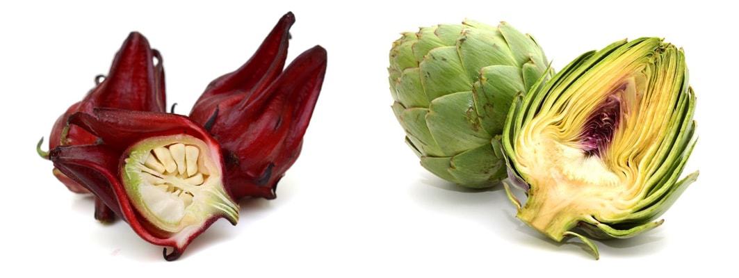 Cách phân biệt hoa atiso xanh và hoa atiso đỏ