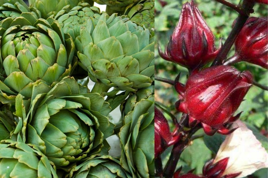 Lưu ý khi dùng hoa atiso