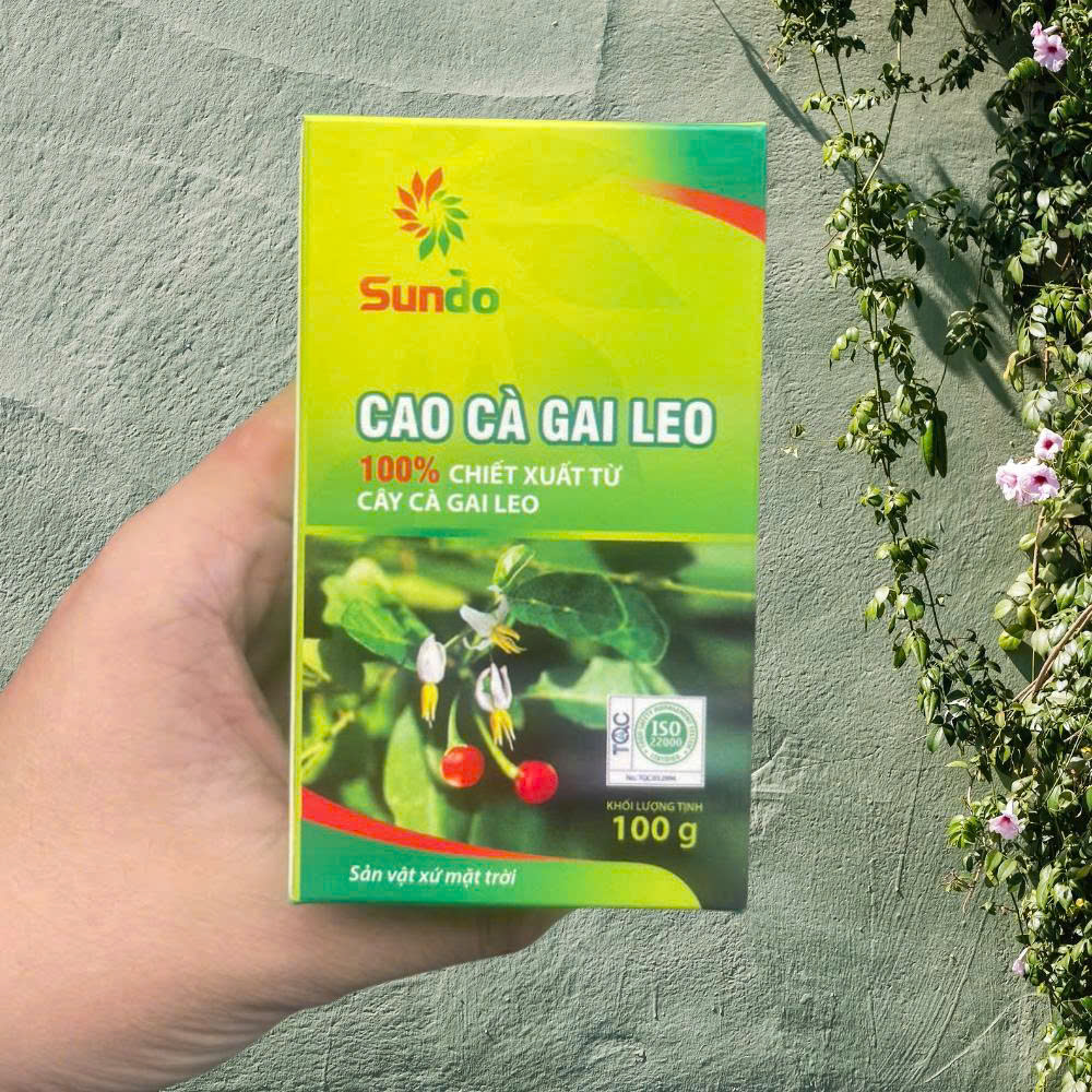 Cách dùng cao cà gai leo tại HCM