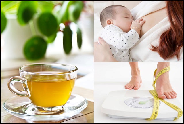 Cách sử dụng trà lá nam cho phụ nữ sau sinh