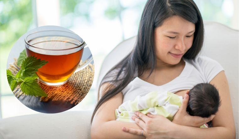 Dùng trà lá nam cho phụ nữ sau sinh được không ?