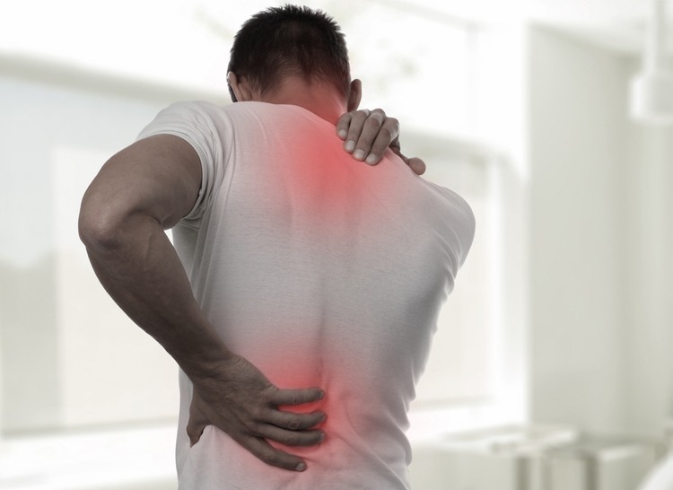 Mua trà túi lọc ngải cứu tại TP.HCM giúp giảm đau nhức xương khớp